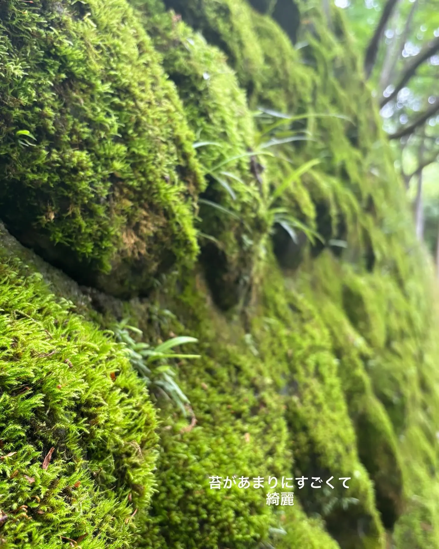 皆さま、ゴールデンウィークは楽しく