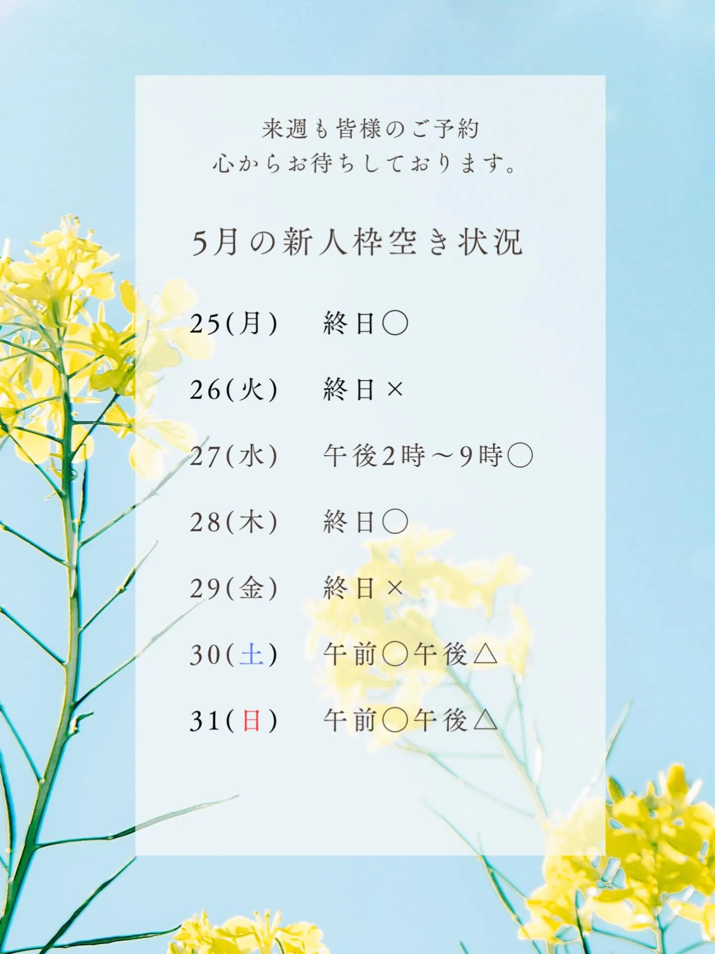 こんにちは😊🎶